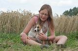ENFANT ET CHIEN 527